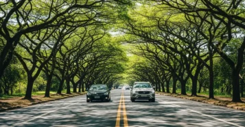 Qual é a distância entre Recife e Porto de Galinhas?